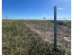 Bil Bil, Goodooga NSW 2831