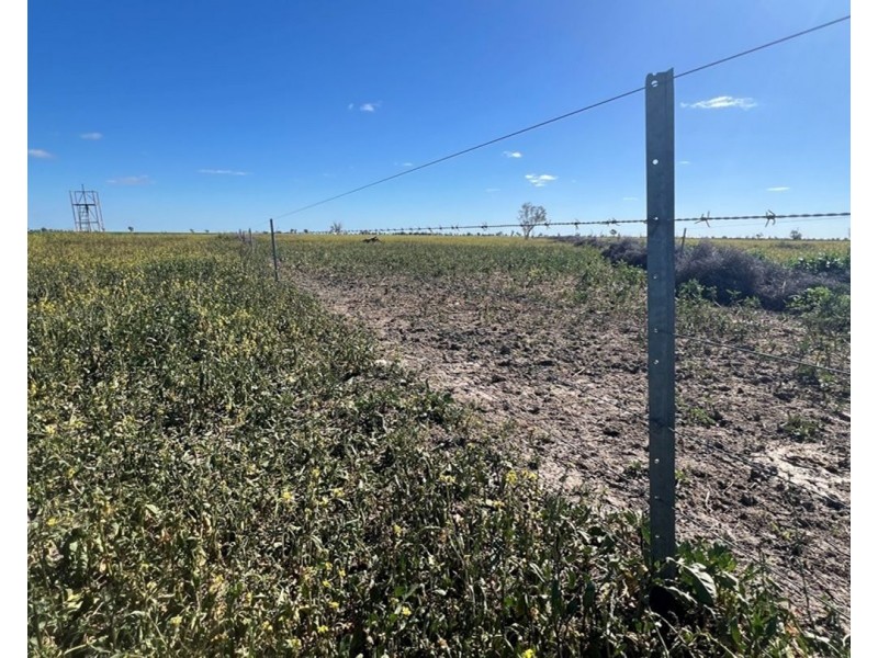 Bil Bil, Goodooga NSW 2831
