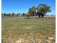 Bil Bil, Goodooga NSW 2831