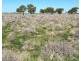 Bil Bil, Goodooga NSW 2831
