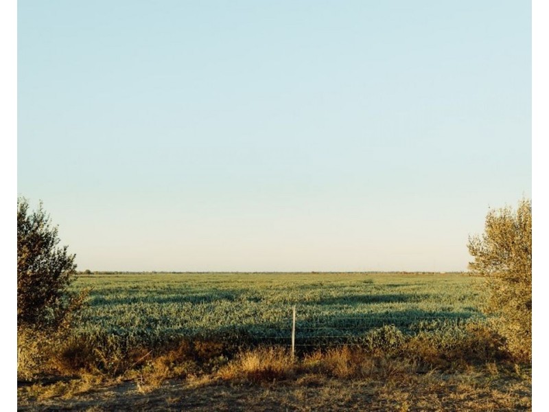 The Long Yard, Moree NSW 2400