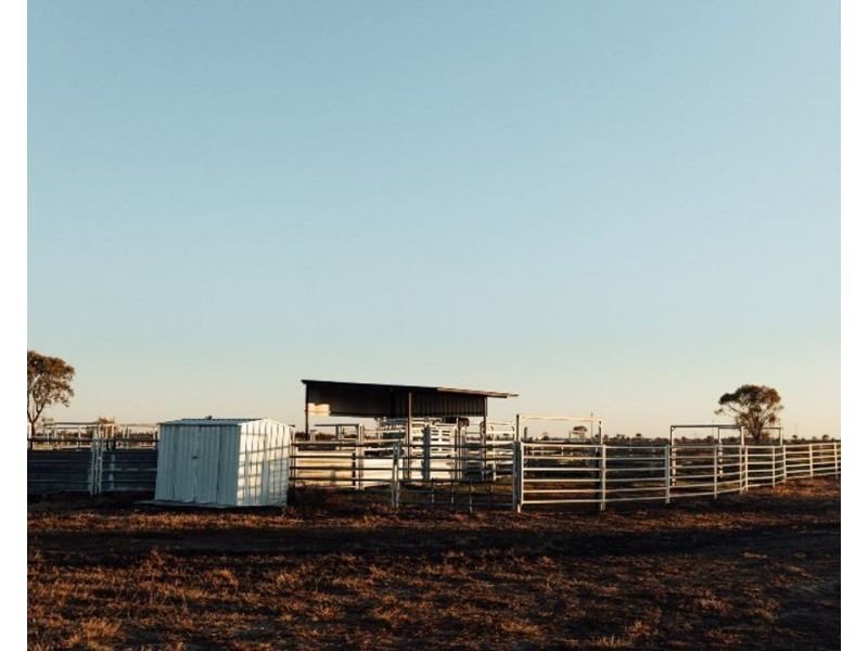 The Long Yard, Moree NSW 2400
