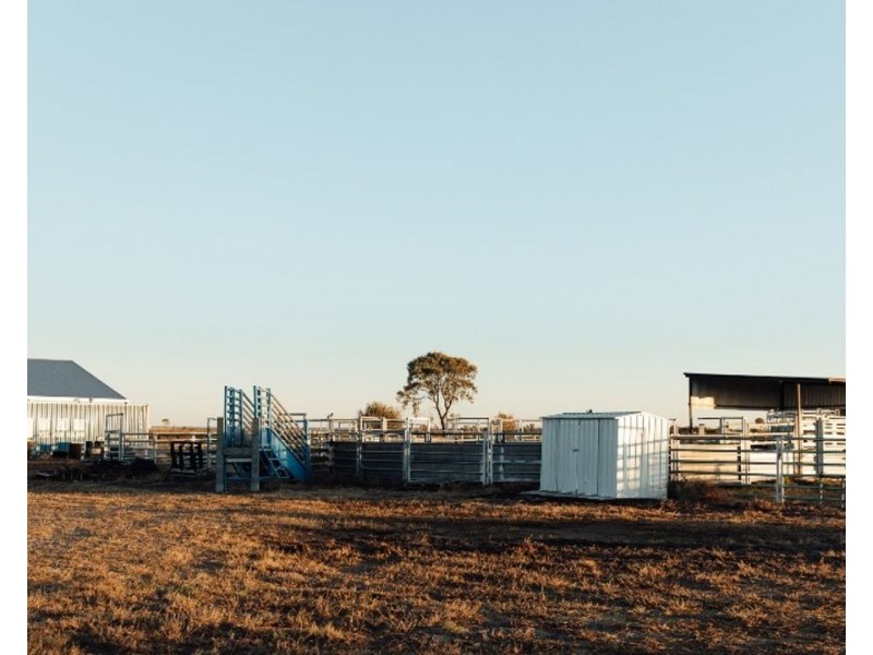 The Long Yard, Moree NSW 2400