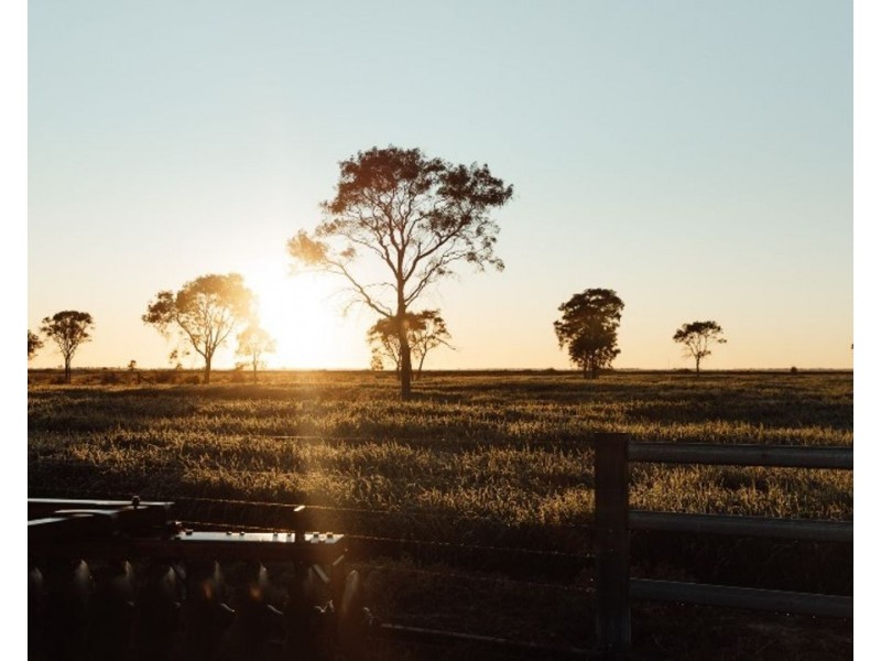 The Long Yard, Moree NSW 2400