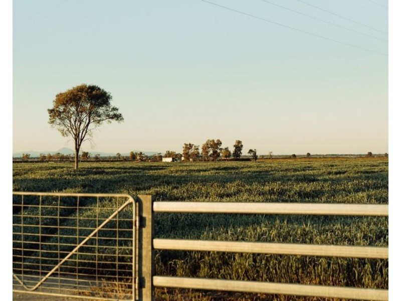The Long Yard, Moree NSW 2400