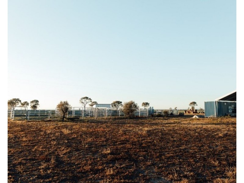 The Long Yard, Moree NSW 2400