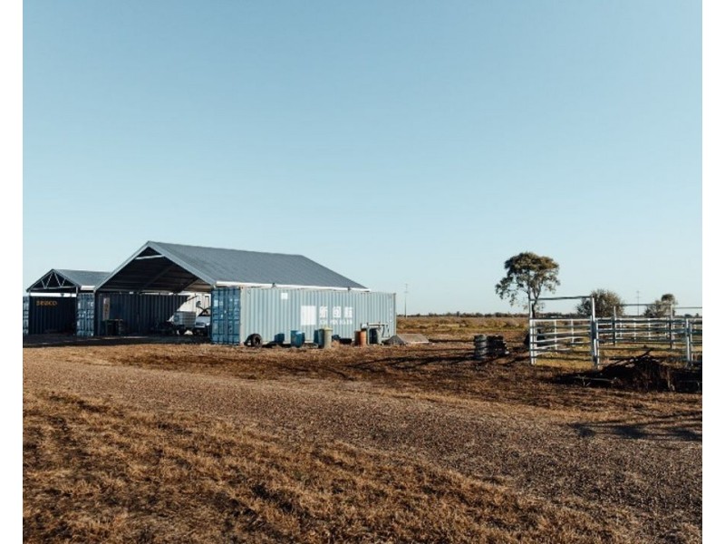 The Long Yard, Moree NSW 2400