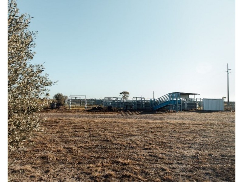 The Long Yard, Moree NSW 2400
