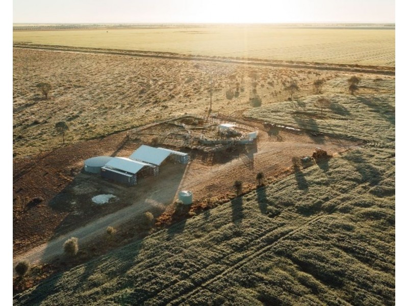 The Long Yard, Moree NSW 2400