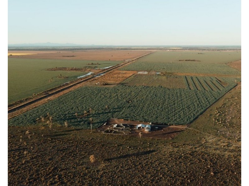 The Long Yard, Moree NSW 2400
