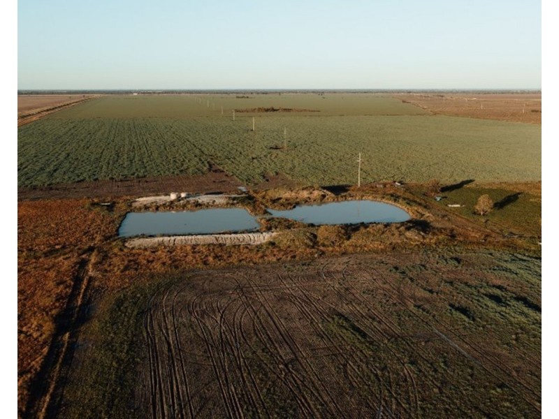 The Long Yard, Moree NSW 2400