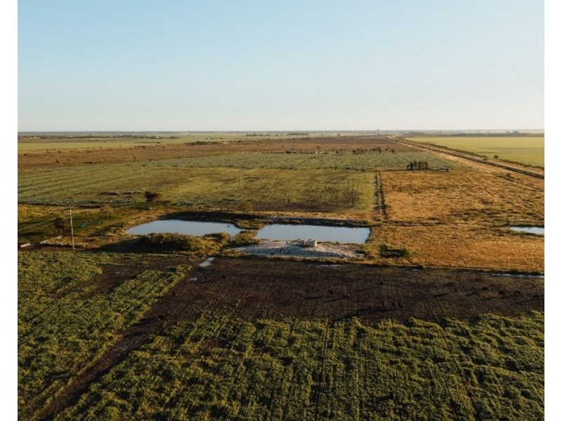 The Long Yard, Moree NSW 2400