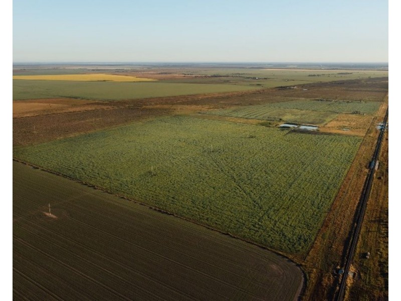 The Long Yard, Moree NSW 2400