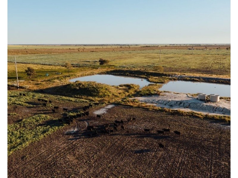 The Long Yard, Moree NSW 2400