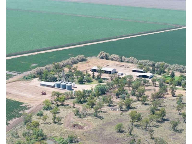 Carnarvon Aggregation, Mullaley NSW 2379