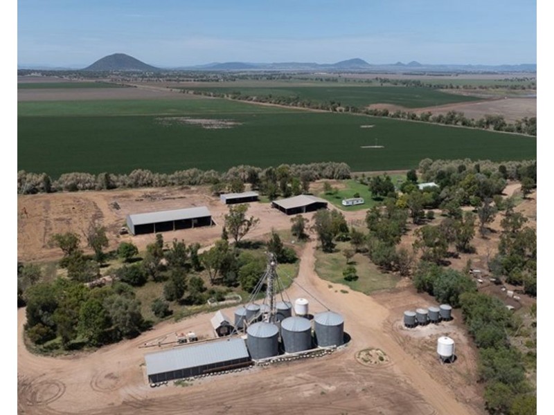 Carnarvon Aggregation, Mullaley NSW 2379