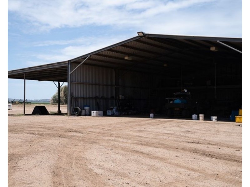 Carnarvon Aggregation, Mullaley NSW 2379