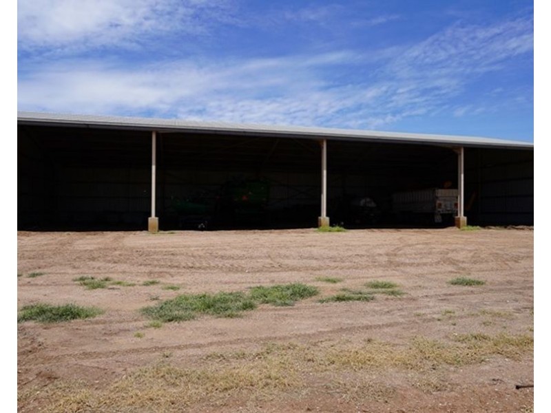 Carnarvon Aggregation, Mullaley NSW 2379