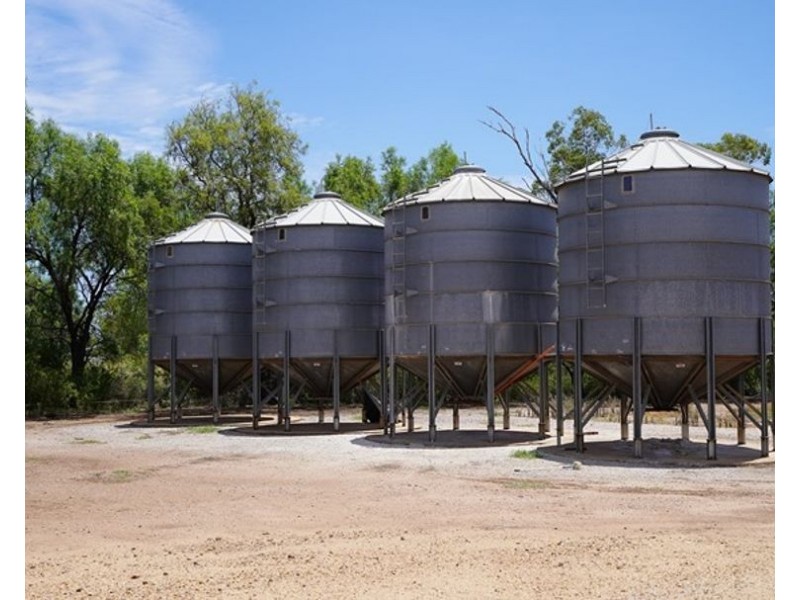 Carnarvon Aggregation, Mullaley NSW 2379