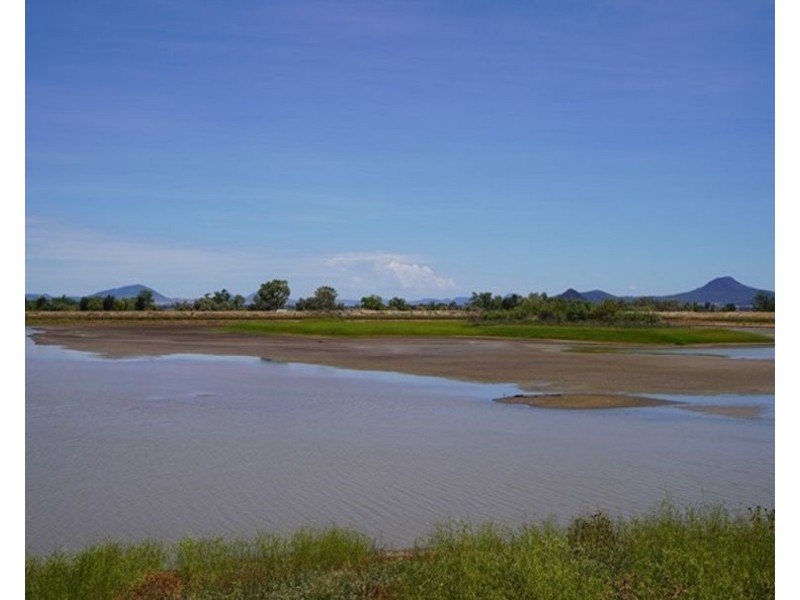 Carnarvon Aggregation, Mullaley NSW 2379