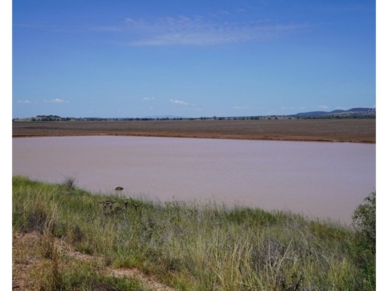 Carnarvon Aggregation, Mullaley NSW 2379