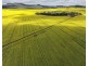 Carnarvon Aggregation, Mullaley NSW 2379