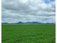 Carnarvon Aggregation, Mullaley NSW 2379
