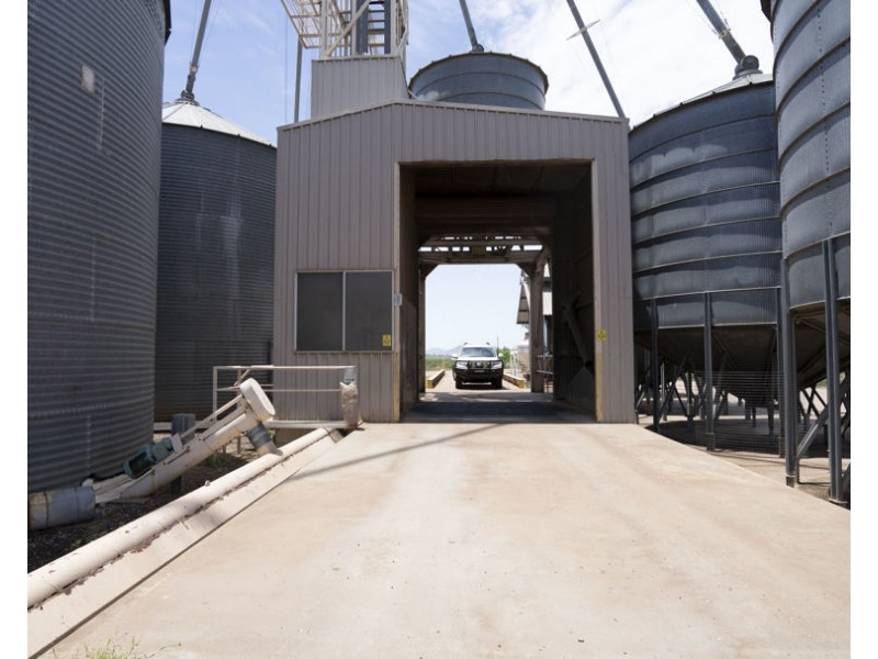 Carnarvon Aggregation, Mullaley NSW 2379