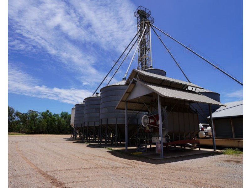 Carnarvon Aggregation, Mullaley NSW 2379