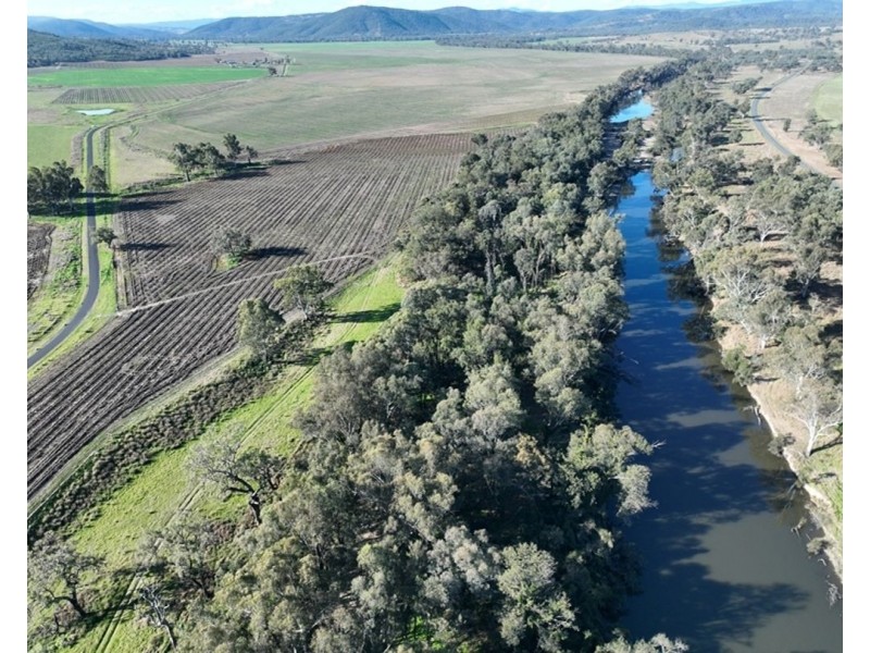 Mt Bowman, Texas QLD 4385