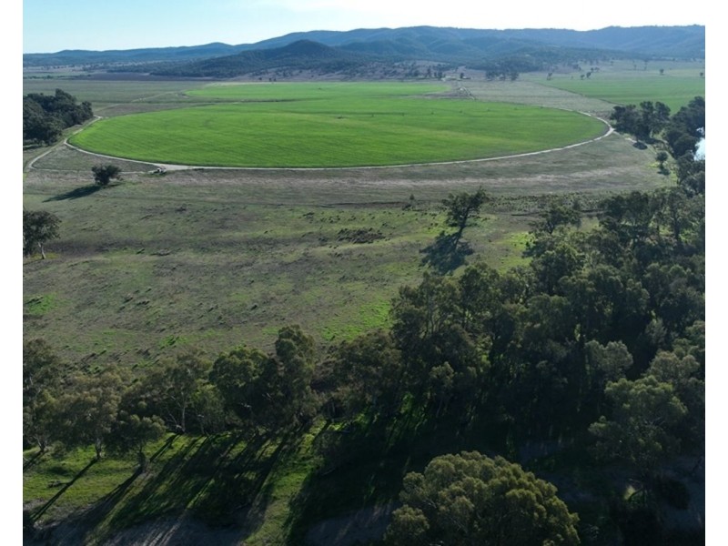 Mt Bowman, Texas QLD 4385