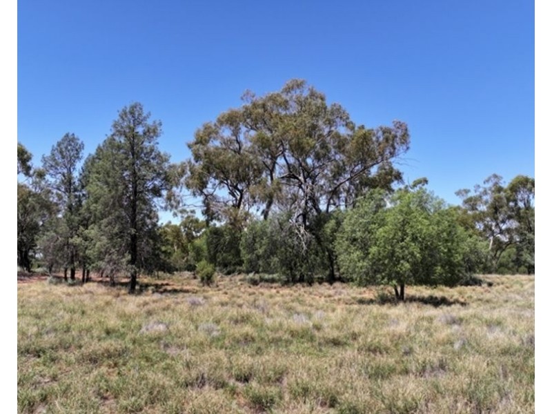 Goonaroi, Gongolgon NSW 2839