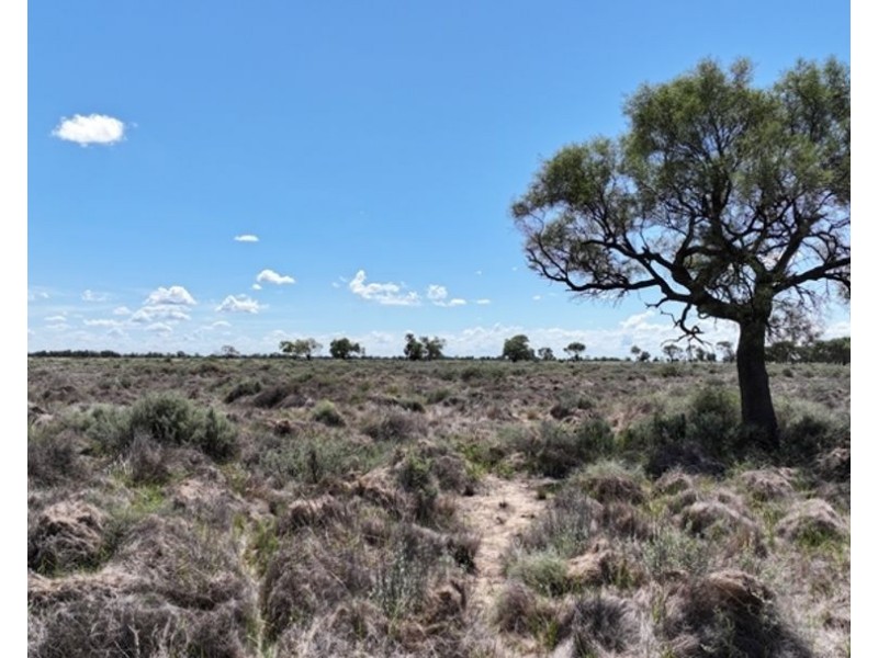 Goonaroi, Gongolgon NSW 2839