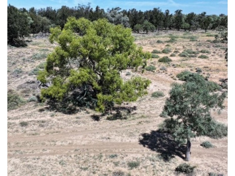 Goonaroi, Gongolgon NSW 2839