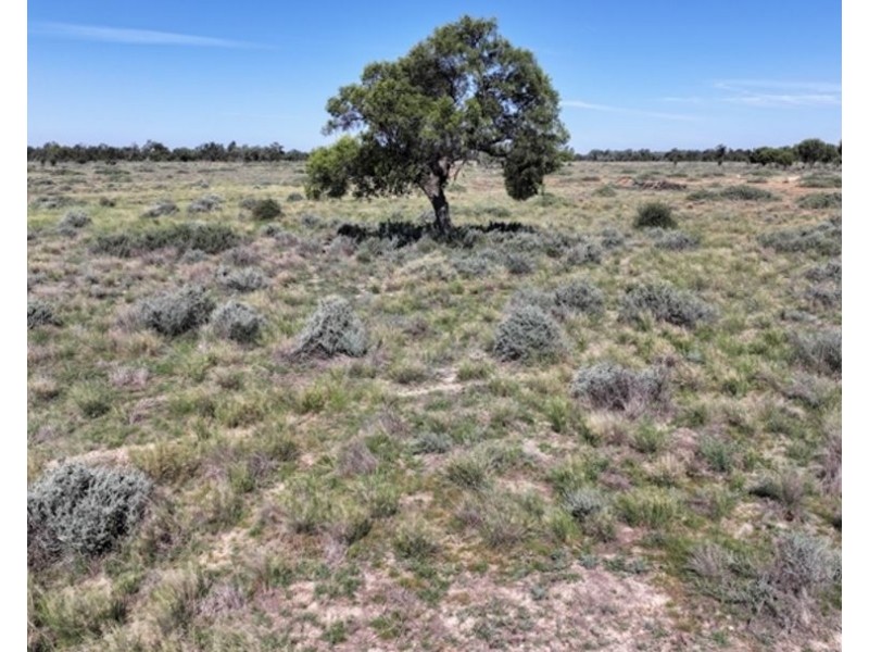 Goonaroi, Gongolgon NSW 2839