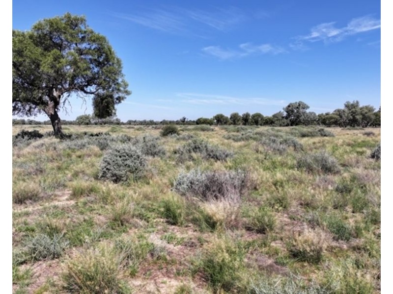 Goonaroi, Gongolgon NSW 2839