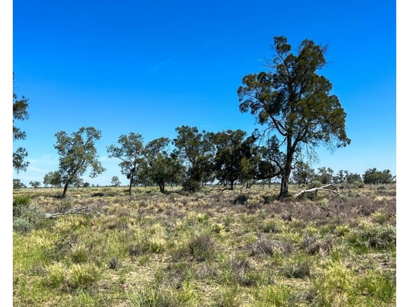 Goonaroi, Gongolgon NSW 2839