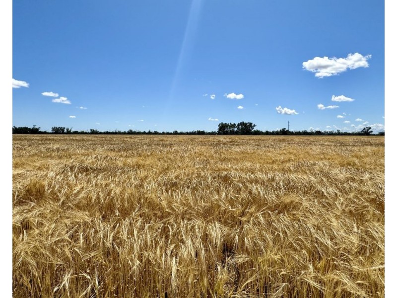 Mardell, Moree NSW 2400