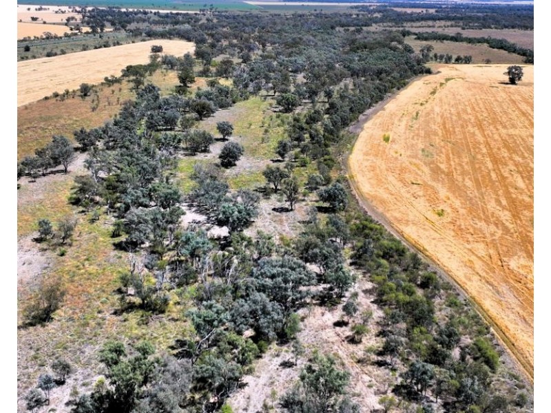 Mardell, Moree NSW 2400