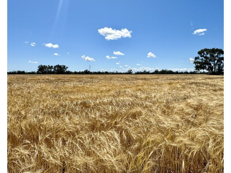 Mardell, Moree NSW 2400