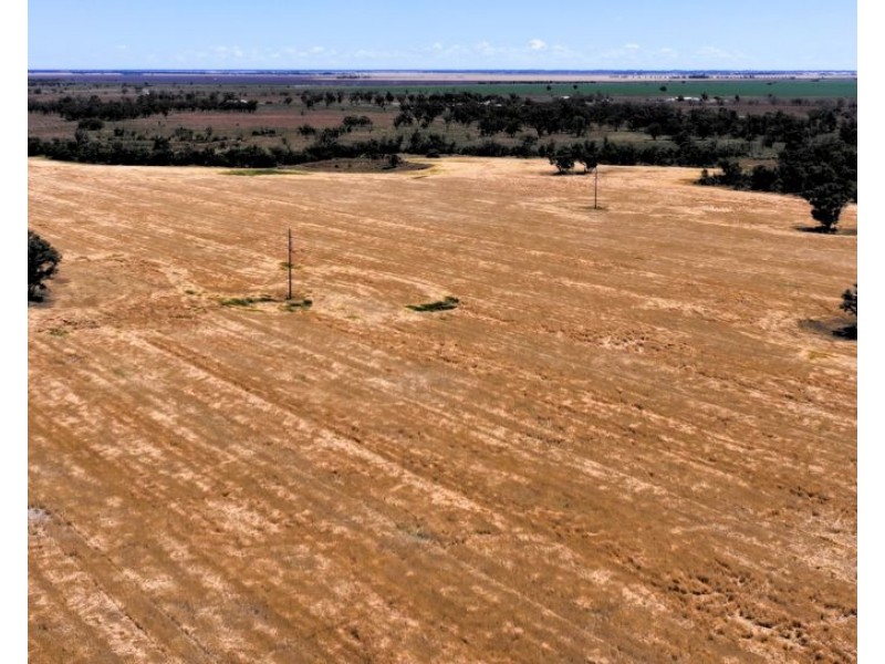 Mardell, Moree NSW 2400