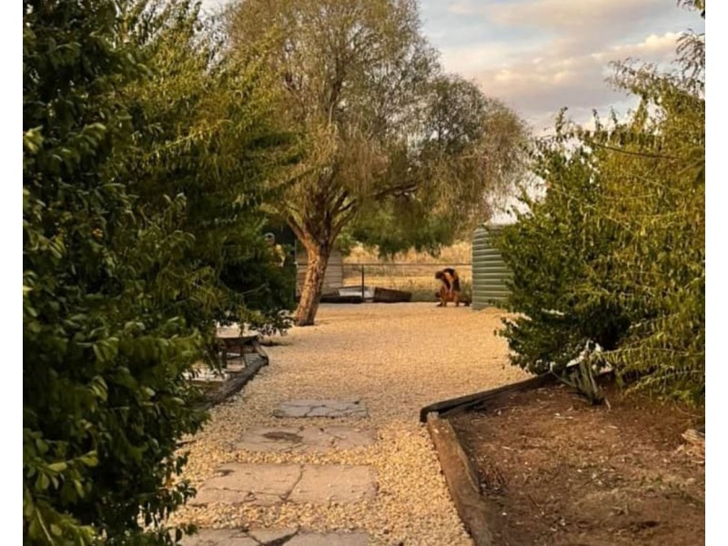 Mardell, Moree NSW 2400