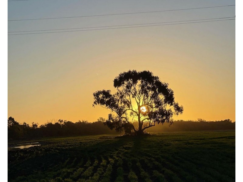 Mardell, Moree NSW 2400