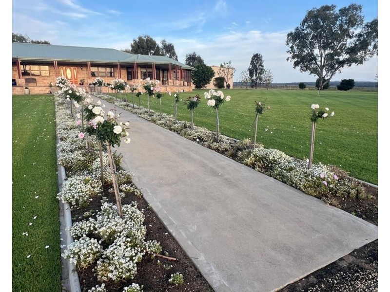 Clamally Park, Warialda NSW 2402