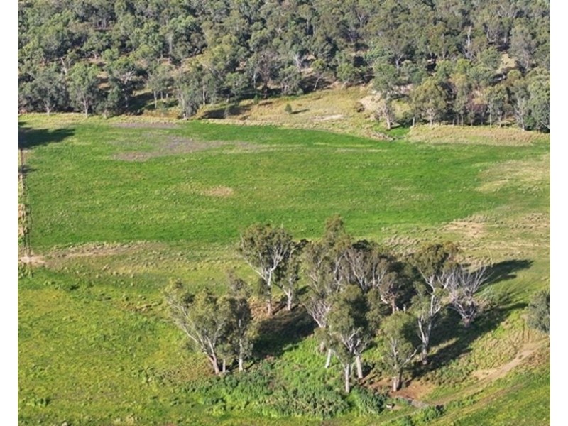 Clamally Park, Warialda NSW 2402