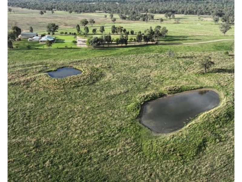 Clamally Park, Warialda NSW 2402