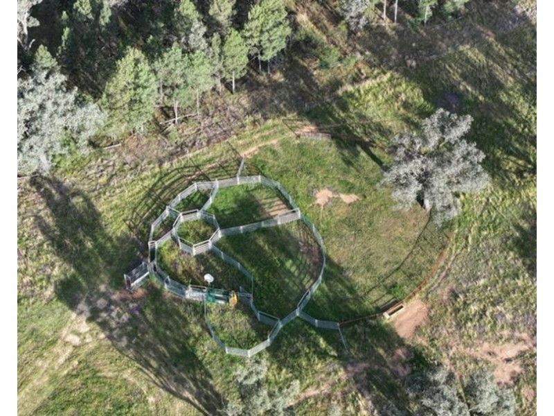 Clamally Park, Warialda NSW 2402