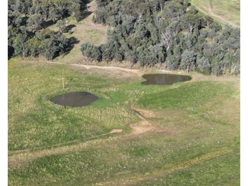 Clamally Park, Warialda NSW 2402