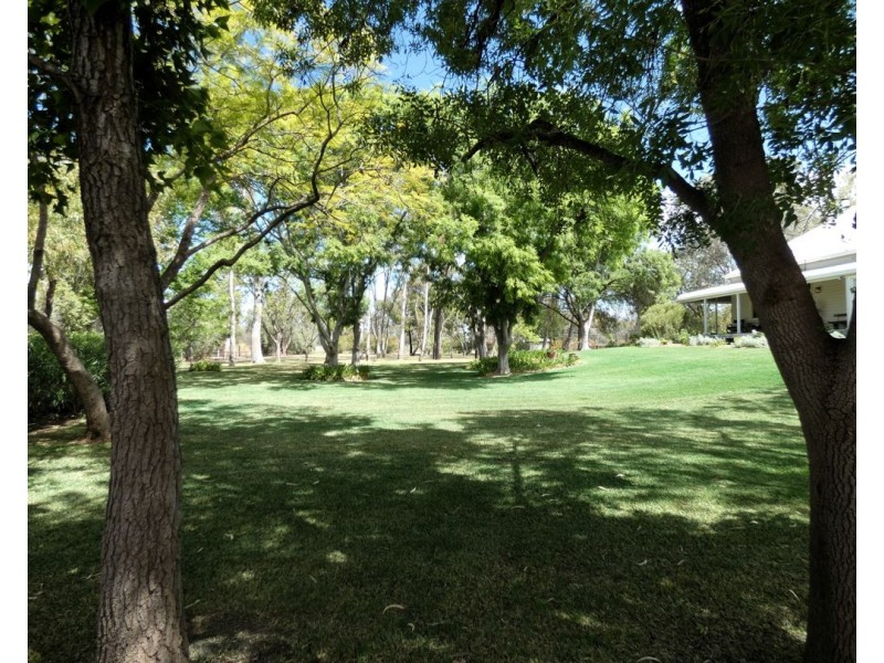 667 Gwydir Hwy, Moree NSW 2400