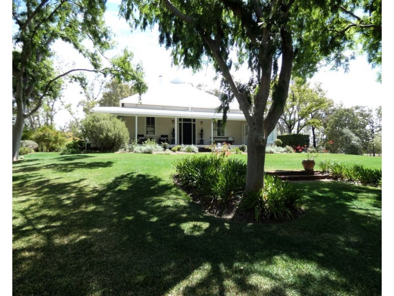 667 Gwydir Hwy, Moree NSW 2400